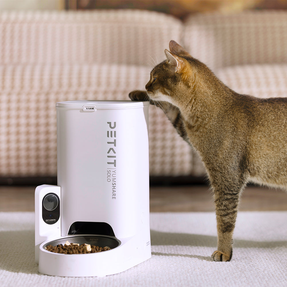 PETKIT YumShare Solo Smart Feeder With Camera