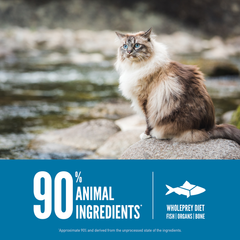 ORIJEN Cat Dry Food - Six Fish